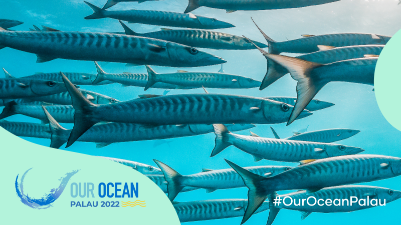 Our Ocean Palau 2022