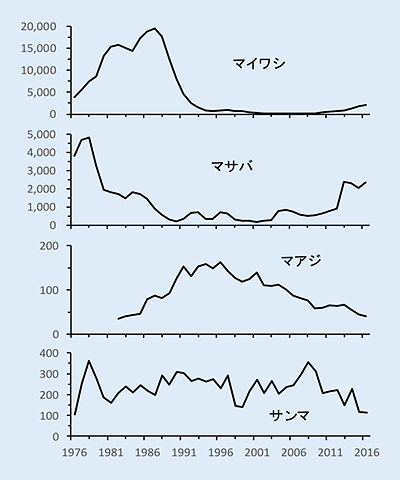 大衆魚の資源動向 海洋政策研究所 Oceannewsletter 笹川平和財団 The Sasakawa Peace Foundation