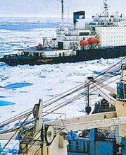 北極海航路利活用戦略の策定