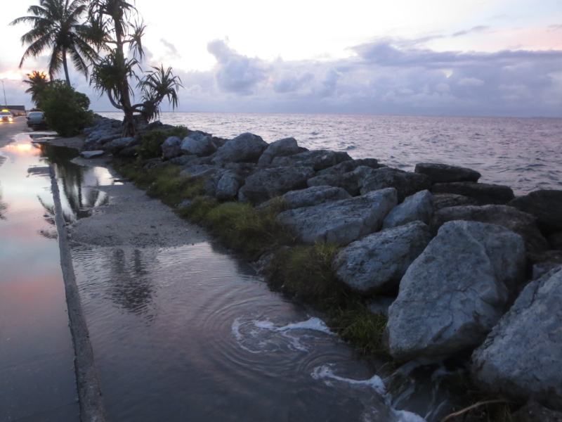 “Information Divide”-Associated Difficulties Faced by Overseas Migrants from Pacific Island Nations