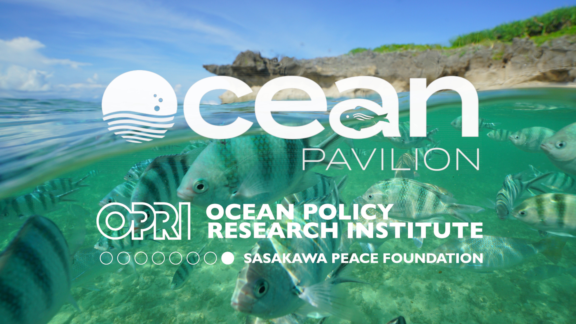 [Information] COP28 Ocean-Related Meetings (updated: Dec.9)