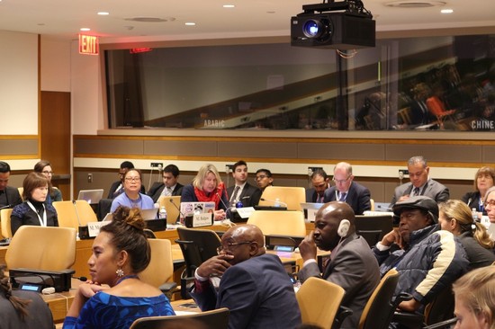 View of the side event - Participants including speakers and government heads