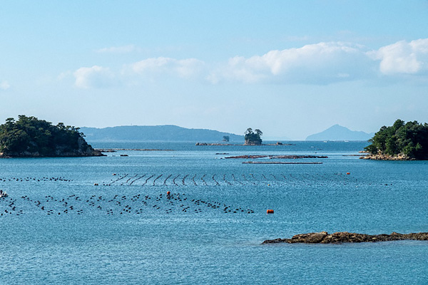 Blue sea and oyster farm in Kujuku Island of Nagasaki, Japan Credit: Getty images/Jumoobo