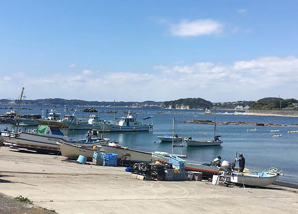 Boats in the Hayamamachi Fishery Cooperative Association. (S. Hakala)