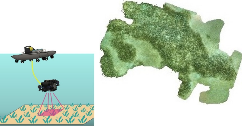 ■ Figure 2: 3D Orthophoto of Seagrass Bed Captured by ROV/REMONA