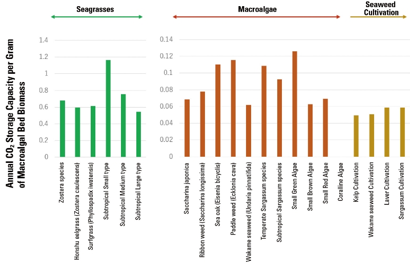 ■ Figure 2 Emission Potential of Each Macroalgal Bed Type. Average values of the nine seas are shown.