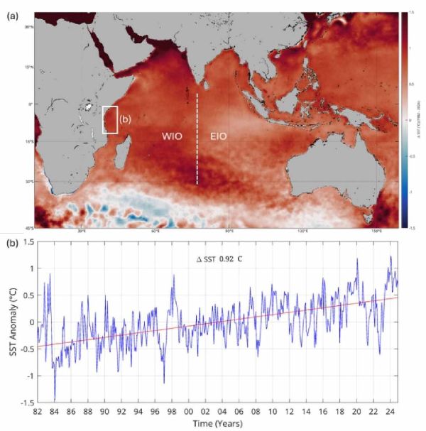 Fig. 1: (a) change in the sea surface temperature (SST) over the Indian Ocean between 1982 and 2024 using OSTIO satellite data. Note the temperature scale also has cooling (blue).