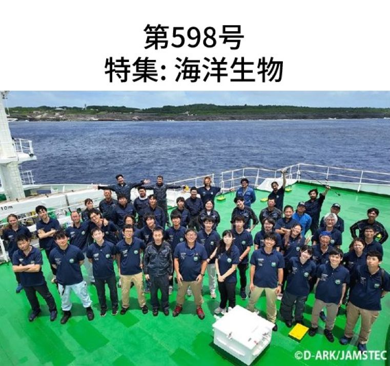 Newsletter No.598