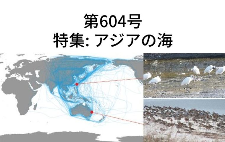 Newsletter No.604