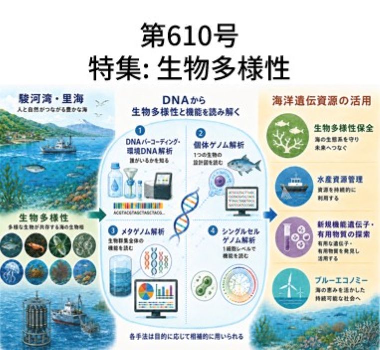 Newsletter No.610