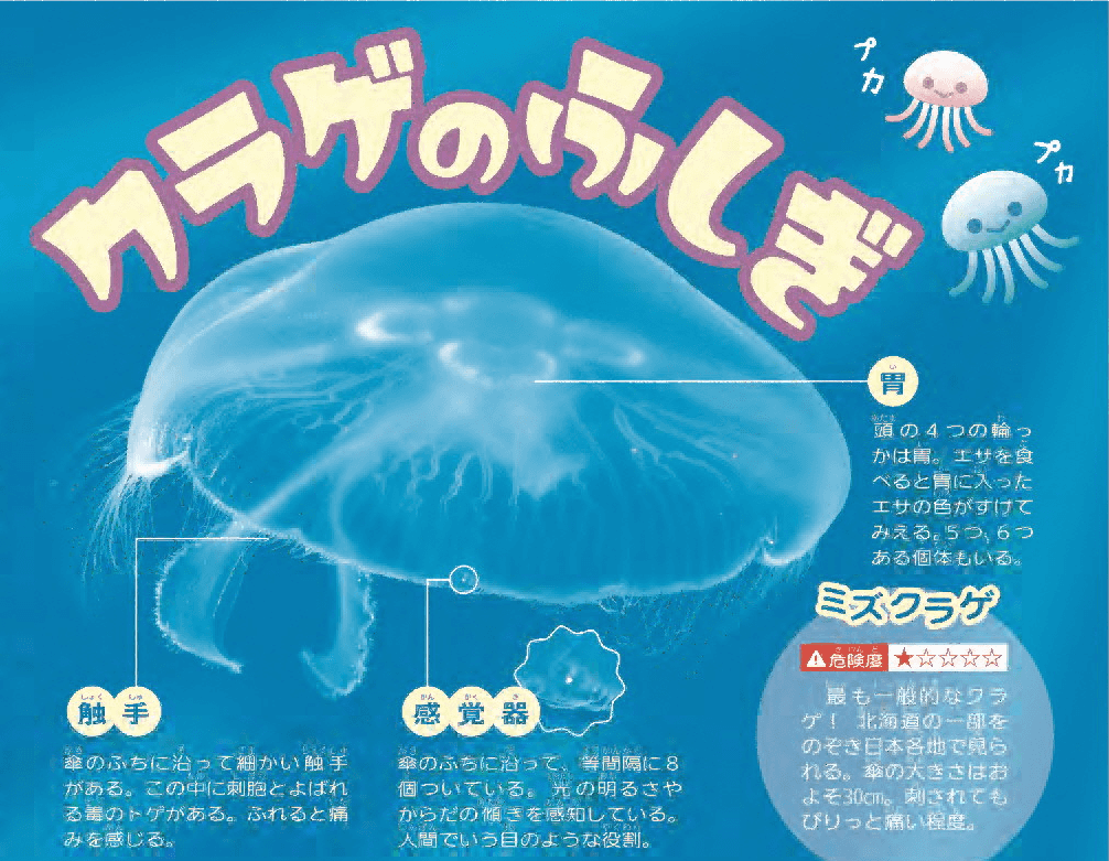 『読売KODOMO新聞』に海洋教育パイオニアスクールプログラムの広告記事が掲載されました