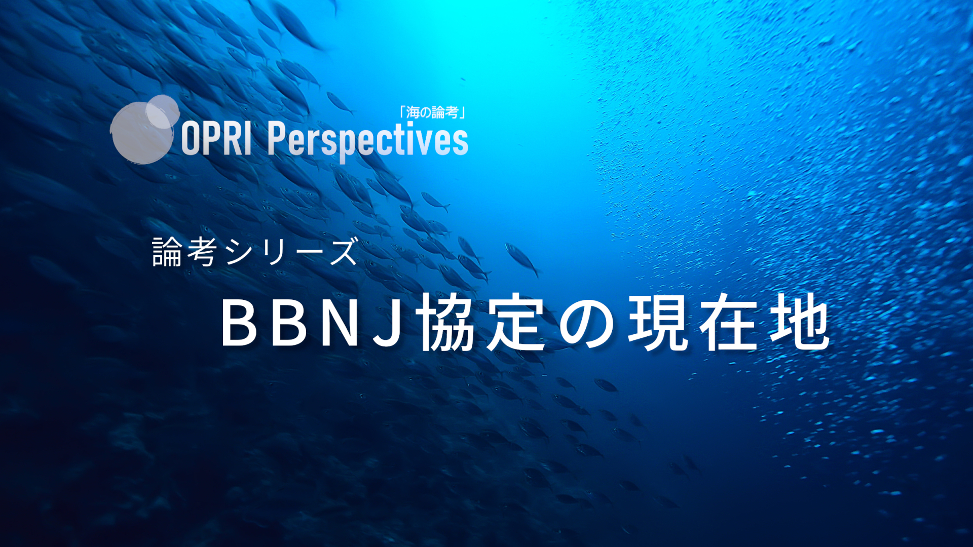 【掲載予告】論考シリーズ：BBNJ協定の現在地