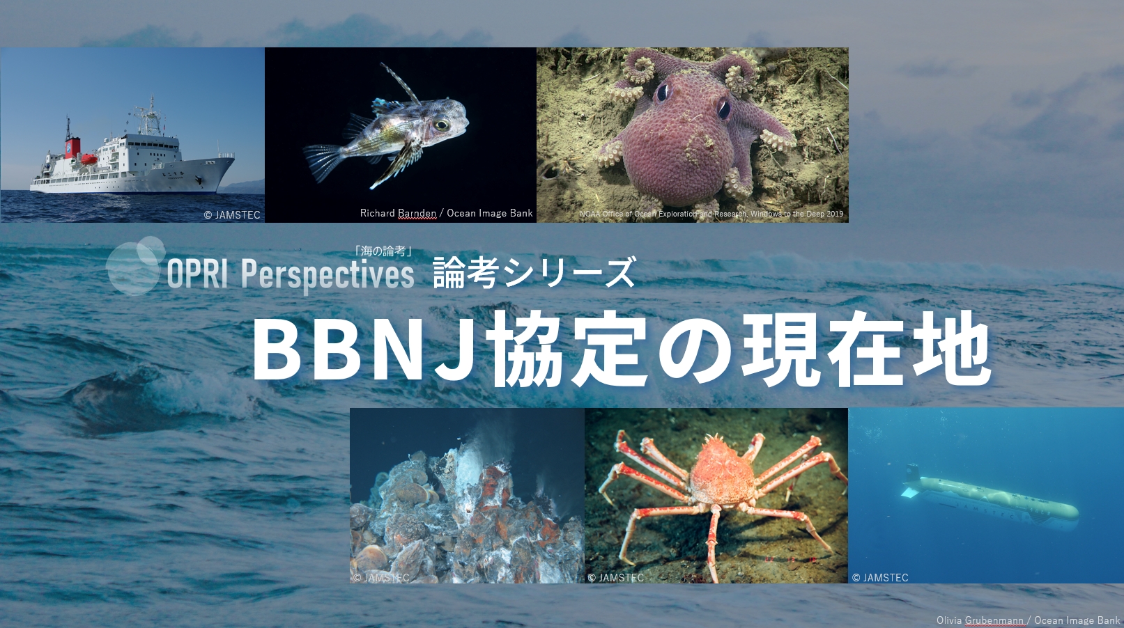 【掲載予告】論考シリーズ：BBNJ協定の現在地