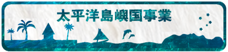 太平洋島嶼国事業