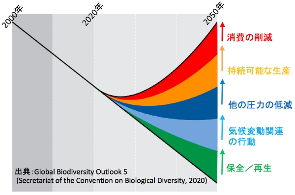 ■図2　生物多様性の損失を減らし回復させる行動のポートフォリオ（環境省提供）