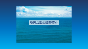 身近な海の貧酸素化