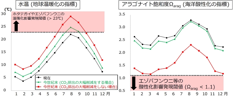 ■図　北海道日本海側沿岸の観測点における、水温（地球温暖化の指標：左）と、炭酸カルシウムの一形態であるアラゴナイトの溶けやすさを表すアラゴナイト飽和度（海洋酸性化の指標：右）の、1月から12月までの現在再現と将来予測のモデル結果。