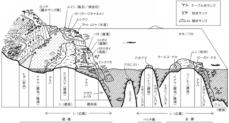 伊良部・佐良浜のサンゴ礁微地形の模式図と方言名（高橋2004を改訂。作図：渡久地健）