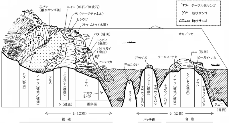 伊良部・佐良浜のサンゴ礁微地形の模式図と方言名(高橋2004を改訂。作図:渡久地健)