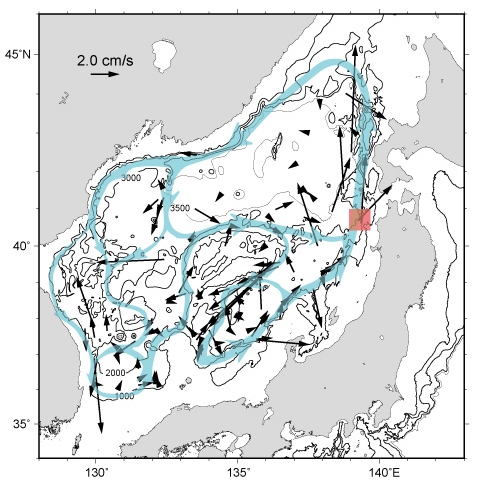 ■図1 日本海における深層循環の模式図