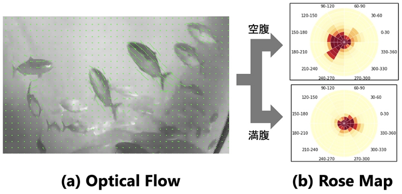 ■図1 Optical FlowによるRose Mapの作成 (筆者作成)
