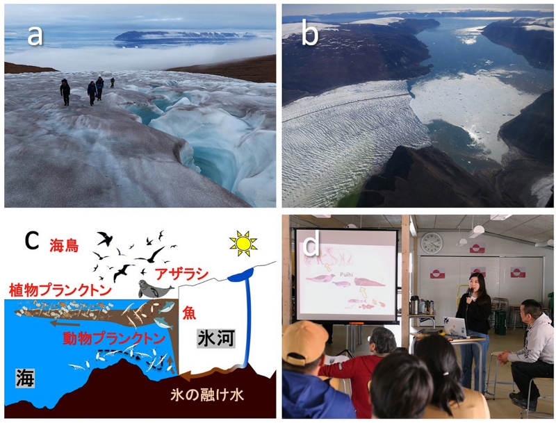 ■図2 （a）微生物に覆われて暗く染まった氷河。（b）海に流れ込む氷河。（c）融け水によって形成される氷河前の生態系。（d）カナック村でのワークショップ。