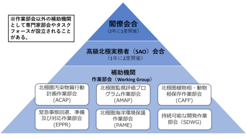 ■図 北極評議会の組織構造(筆者作成)