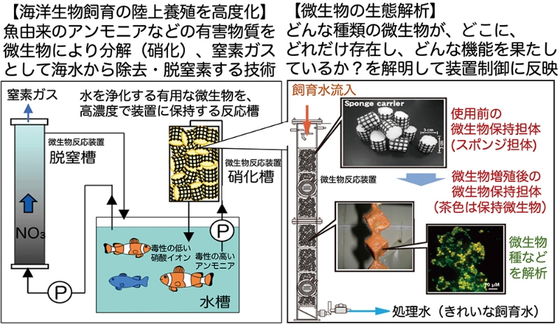 ■図2 水再生技術の開発事例