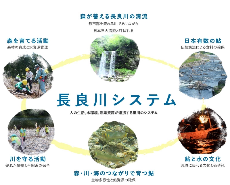■里川における人と鮎のつながり(出典:「世界農業遺産 清流長良川の鮎」HP)