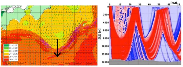 ■図1　左は紀伊半島の沖での海の天気予報の例。水温と流れを表示している。右はその海況での音の伝搬例（冷水　渦内の海面近くで発した音が黒潮を横切り暖水域に達する、黒矢印に沿った断面。赤い経路で音が伝搬する）である。（MTSセミナー資料をもとに筆者作成）