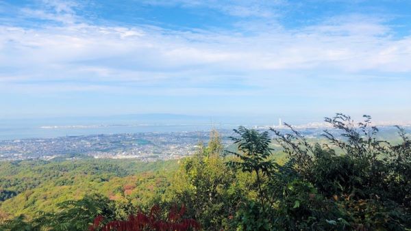海と山が出合うまち