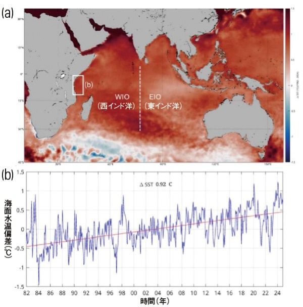 ■図1：（a）OSTIO衛星データに基づく1982〜2024年のインド洋海面水温（SST）変化。（b）地図（a）の白枠域における月別SST時系列と総SST変化量。