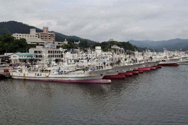 気仙沼漁港のマグロ漁船、サンマ漁船の係留の光景(三陸新報社提供)