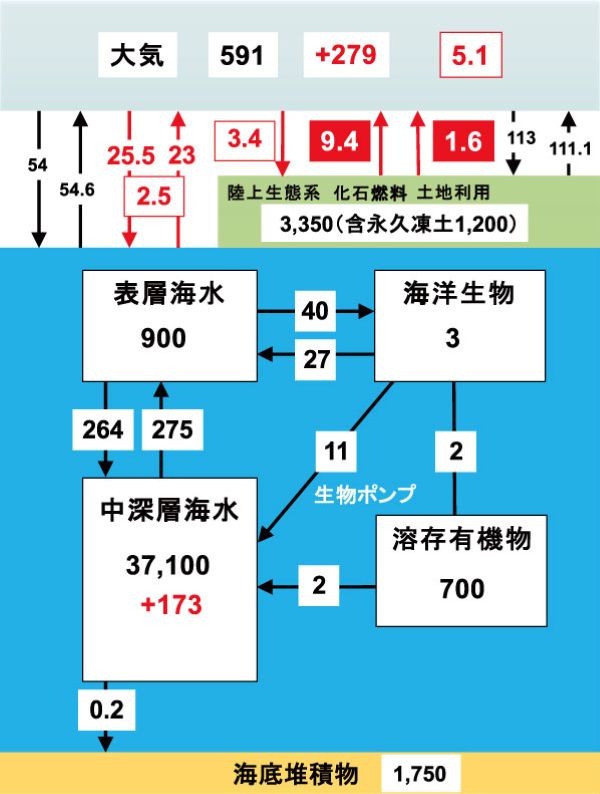 ■図　全球的炭素分布・循環図。単位は、存在量：Gt-C、移動量（フラックス）：Gt-C/yr。大気と海洋のプラス（+）赤字は産業革命から2010年代までの蓄積量、赤字および白字は2010年代のフラックス（IPCC AR6, 2022　https://www.ipcc.ch/assessment-report/ar6/ を基に作成）。