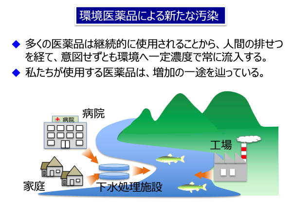 ■図1　われわれが使用した医薬品の水域への流入