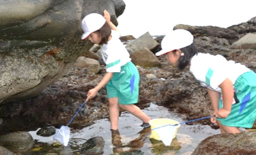 海洋教育「ひろの学」