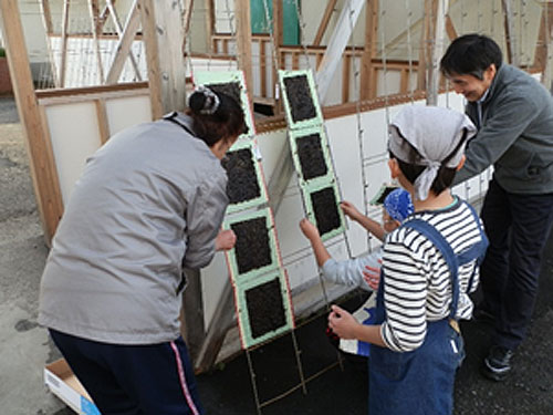 塩浜の生物と環境 ~嵐潮ひかる海原に~ (塩浜ふるさと防災科の実践)