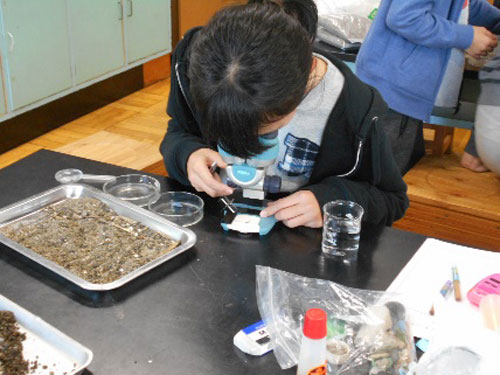 海に面していない都市部の小学校における海洋教育カリキュラムの開発