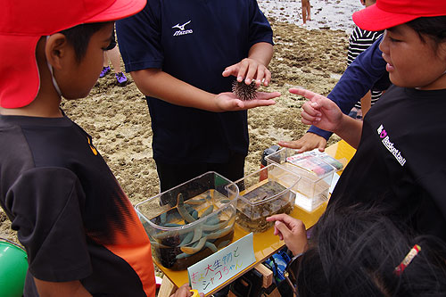 知ろう・学ぼう私たちの島のサンゴのこと