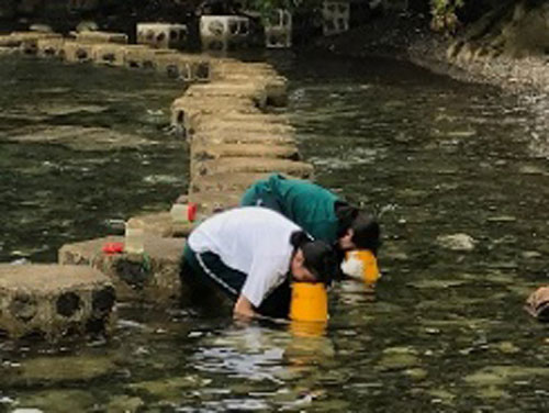 海に親しみ、生き物の不思議なしくみを探究する臨海実習