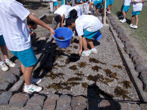 海藻から探る能登町の海　海に進んで関わろうとする生徒の育成を目指して