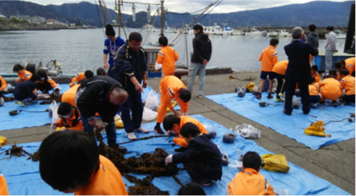 「静浦探検隊」　静浦の海と共に生きる