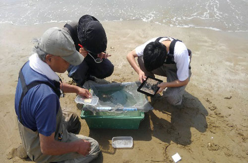 高津川流域を活用した森里海連環学への取り組み