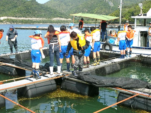 総合学習と他教科・他領域との横断的な海洋学習の実践プログラムの構築