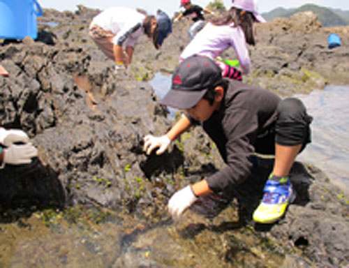 海のすばらしさ実感プロジェクト