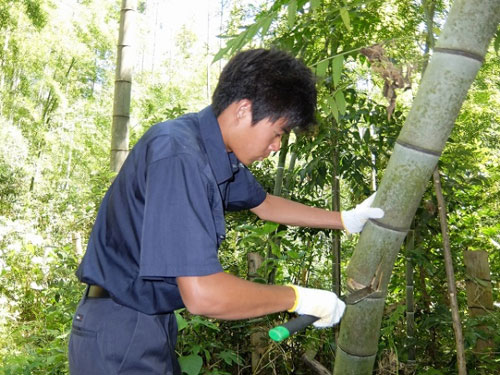 豊かな海づくりと地域の水産業発展に向けた研究・学習活動