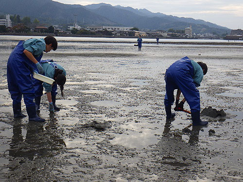 海の幸で地域を元気に　～臼杵の海再生プロジェクト～