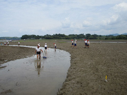 本城の海や干潟で学ぼう