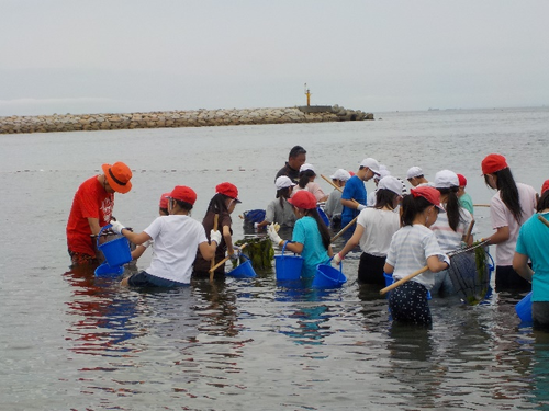 地域に根ざした海洋教育