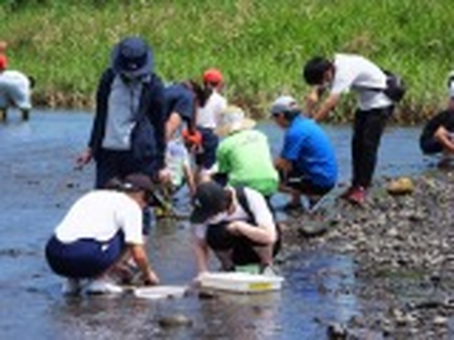 森とダム、海との関係を知ろう